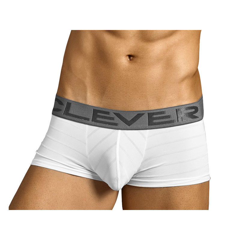 Boxer Clever Blanc, Advance Latin